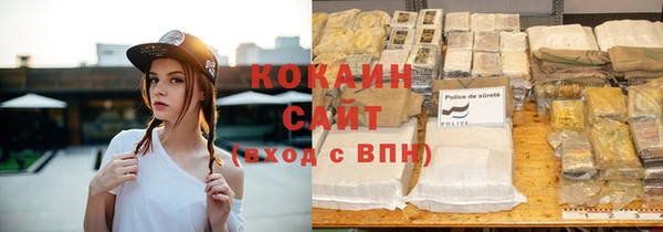крисы Горняк