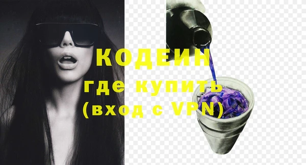 крисы Горняк