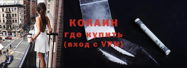 крисы Горняк