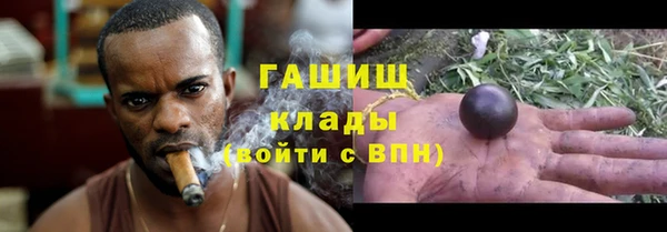 крисы Горняк