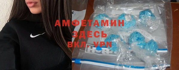 крисы Горняк
