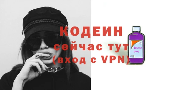 крисы Горняк