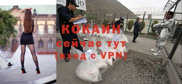 крисы Горняк