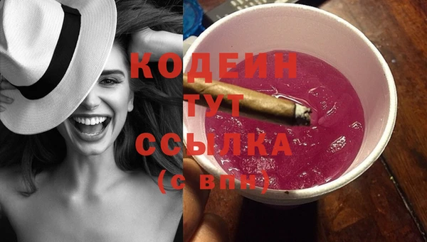 крисы Горняк