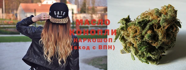 крисы Горняк